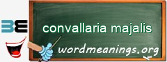 WordMeaning blackboard for convallaria majalis